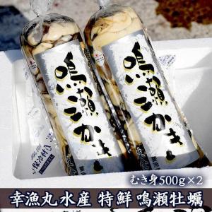 幸漁丸水産 特鮮 鳴瀬牡蠣 むき身５００g×２ 生ガキ 生食用 送料無料