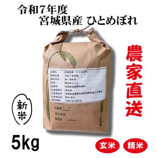 5kg 新米 鈴木さんのひとめぼれ 農家直送 玄米・精米 令和７年産 宮城県産 おいしい宮城のお米 ...