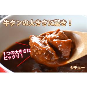 牛タンカレーと牛タンシチューのセット (各1袋...の詳細画像5