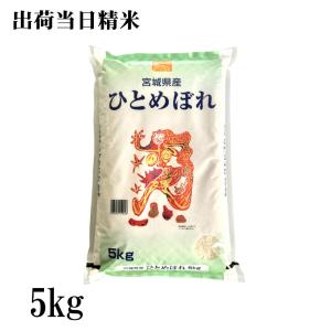 米 令和7年産 宮城県産 登米市産 ひとめぼれ 玄米 10kg 精米無料（上