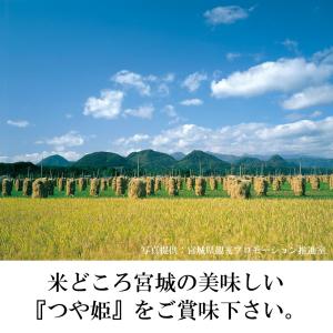 米 2kg 2025年産 宮城県産つや姫 おい...の詳細画像1