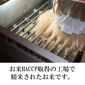 米 2kg 2025年産 宮城県産つや姫 おい...の詳細画像2