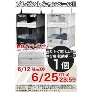 スーツケース l キャリーケース Lサイズ 大...の詳細画像1