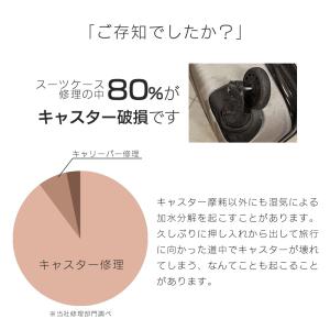 【丸軸・六角軸】Proevo EASY CAS...の詳細画像1