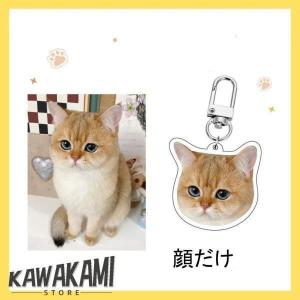 写真 キーホルダー 犬 アクリル 記念品 猫 ...の詳細画像1