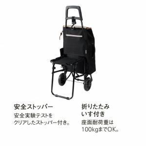 正規品 ショッピングカート キャリーカート折り...の詳細画像5