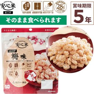 アルファー食品 防災食 非常食 アルファ米 1個 安心米 五目ご飯 中身