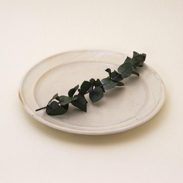 鉄散 リム皿 7寸 古谷製陶所 信楽焼 丸皿 伝統工芸品 民藝品 食器 キッチン雑貨 ギフト プレゼ...