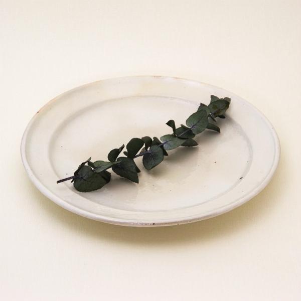 鉄散 リム皿 8寸 古谷製陶所 信楽焼 丸皿 伝統工芸品 民藝品 食器 キッチン雑貨 ギフト プレゼ...