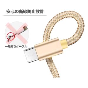 USB Type-Cケーブル iPhone15...の詳細画像3