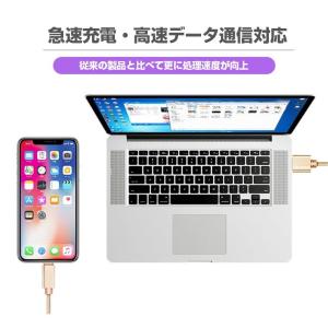 USB Type-Cケーブル iPhone15...の詳細画像5