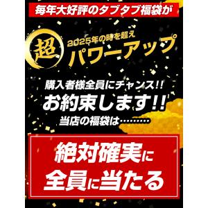 福袋 2026 豪華賞品が抽選で当たる!! モ...の詳細画像2