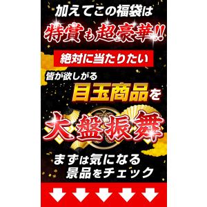 福袋 2026 豪華賞品が抽選で当たる!! モ...の詳細画像4