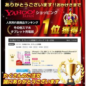 iPhone ケーブル 長さ 0.25m 0....の詳細画像1