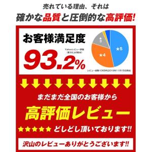 iPhone ケーブル 長さ 0.25m 0....の詳細画像2