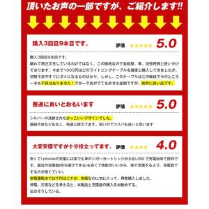 iPhone ケーブル 長さ 0.25m 0....の詳細画像3