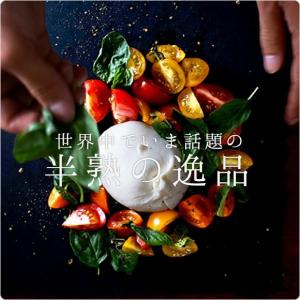 【送料無料】ブッラータ モッツァレラ ブラータ 5個セット