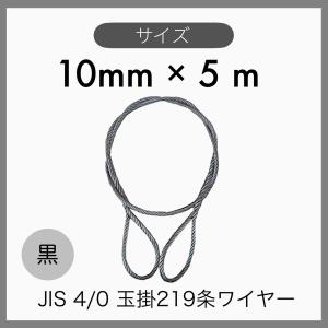 １０本組 JIS O/O 黒 玉掛けワイヤー 玉掛索 219条ワイヤー 編み込み 輸入品 10mm×5m