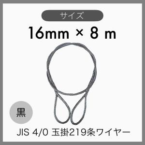 １０本組 JIS O/O 黒 玉掛けワイヤー 玉掛索 219条ワイヤー 編み込み 輸入品 16mm×8m