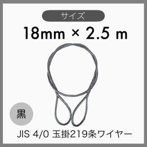 ５本組 JIS O/O 黒 玉掛けワイヤー 玉掛索 219条ワイヤー 編み込み 輸入品 18mm×2.5m