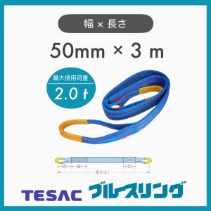 TESAC ブルースリング 75mm×3m(荷重3.2t) JIS4等級 両端アイ