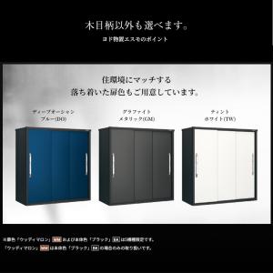 ヨド物置 ブラックエスモ ESF-1807A-...の詳細画像4