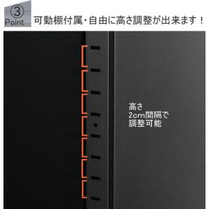 物置 屋外 APET 両扉式収納庫 0805L...の詳細画像3