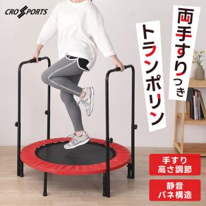 ショップジャパン（Shop Japan） ゆらころん トレーニング 腹筋 ながら