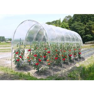 雨よけハウス 2畝用 AM2270 (間口2.2m×奥行7.0m) [南栄工業 ナンエイ