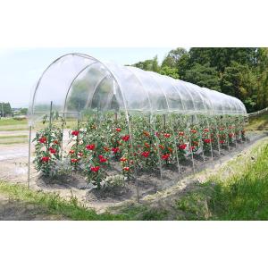 南栄工業 雨よけハウス AM2253 2畝用 国内生産品 ナンエイ 雨除け