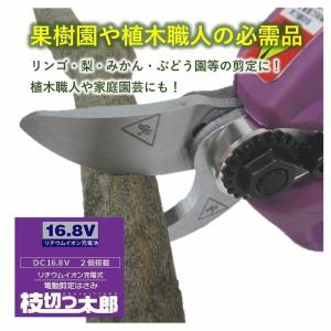 枝切りバサミ 電動 ASH-25M 最大切断径25mm コードレス 充電式 力要らず らくらくカット 果樹園 お手入れ 植木 剪定 トリマー 家庭園芸 ガーデニング 1年保証｜tac-online