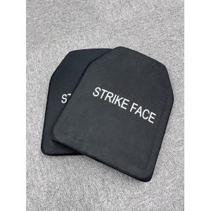 リアルウェイトダミープレート（2枚セット）TEAM WENDY ESAPI NON