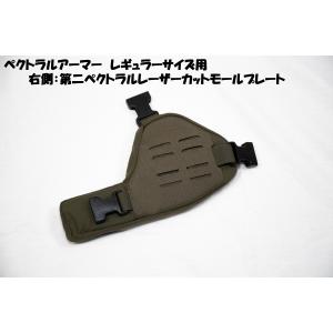DMLプレートキャリア 陸自迷彩 Sサイズ レディース向け マグネット