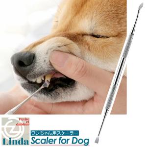 犬用歯石取りペンチ&スケーラー 犬 スケーラー 歯石取り ペンチ 器具 ペット用 デンタルケア