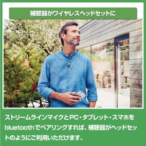 10945013/シグニア/ストリームラインマ...の詳細画像1