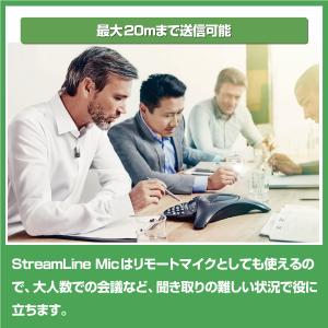 10945013/シグニア/ストリームラインマ...の詳細画像2