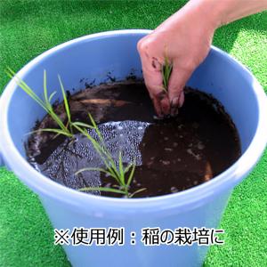 黒土 約14Lの詳細画像2