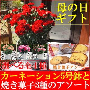 母の日 ギフト 2018 スイーツ 花 早割 送料無料 カー...