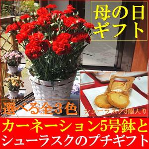 母の日 ギフト 2018 スイーツ 花 早割 送料無料 カー...