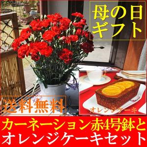 母の日 ギフト 2018 スイーツ 花 早割 送料無料 カー...