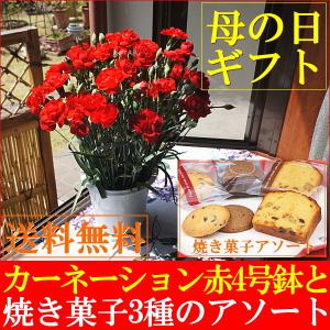 母の日 ギフト 2018 スイーツ 花 早割 送料無料 カー...