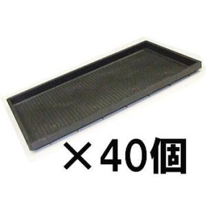 米の苗箱 40個セット) 日本製 稚苗用育苗箱 (184穴タイプ) 水稲用 内寸580