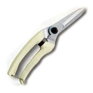 【まぁ】ARS 生花 ファミリー 140DX 61WGi3y2ZkL._AC_UF1000,