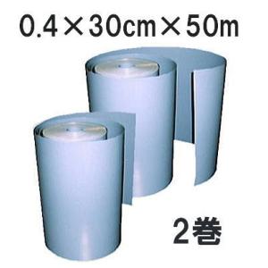 (2巻セット) 日本製 (高品質 高耐久) アゼシート 平型 厚み0.4mm×幅30cm×長さ50m...