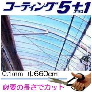 カット販売 農POフィルム コーティング5＋1 ＵＶ プラス1UV 厚み0.1mm 幅660cm 長...