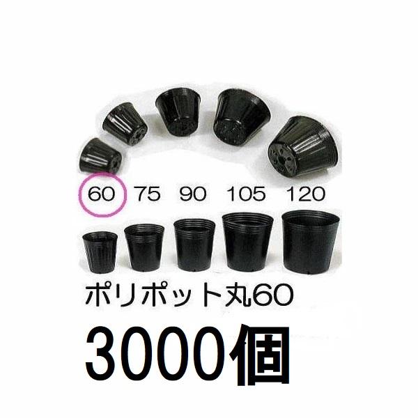 (徳用3000個入) ポリポット 6cm ポリ鉢 丸型ポット 黒丸 60 底穴1 口径60mm×高さ...