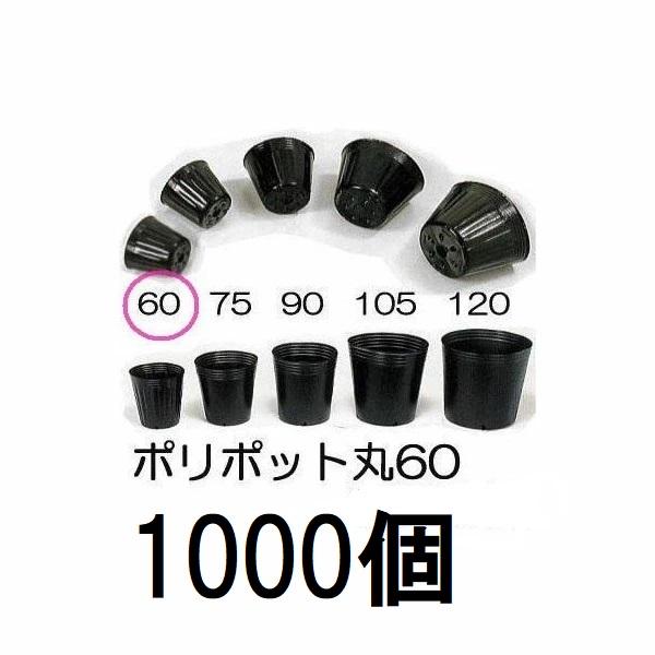 (1000個セット) ポリポット 6cm ポリ鉢 丸型ポット 黒丸 60 底穴1 口径60mm×高さ...