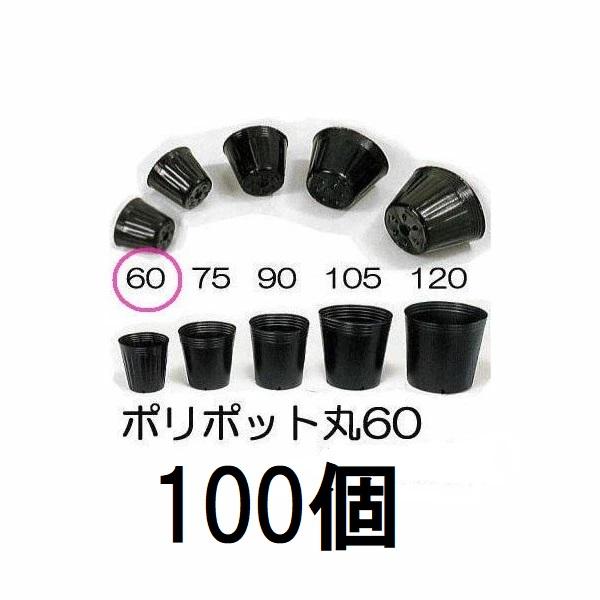 (100個セット) ポリポット 6cm ポリ鉢 丸型ポット 黒丸 60 底穴1 口径60mm×高さ5...