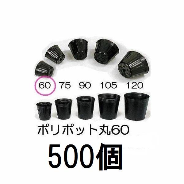 (500個セット) ポリポット 6cm ポリ鉢 丸型ポット 黒丸 60 底穴1 口径60mm×高さ5...