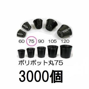 川本ポンプ 自給式ベルト掛ポンプ カスケードポンプ CS2-405-A/CS2-406